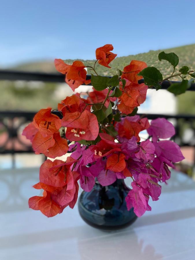 Merve Apartments, Your Home From Home In Central Bodrum, Street Cats Frequent The Property, Not All Apartments Have Balconies , Ground Floor Have Terrace With Table And Chairs Dış mekan fotoğraf